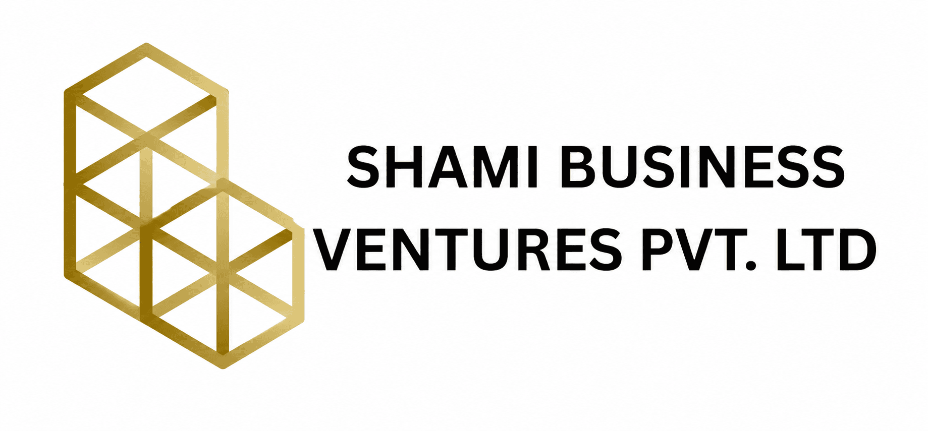 Shami Business Ventures Private Limited